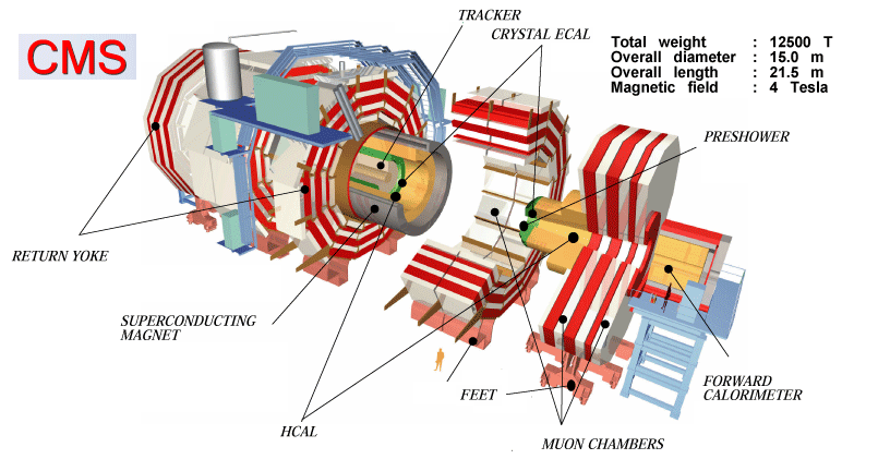 CMS Detector