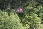 003-IMG_2941.JPG.small.jpeg