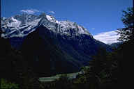 New Zealand picture
